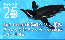チャレンジ25